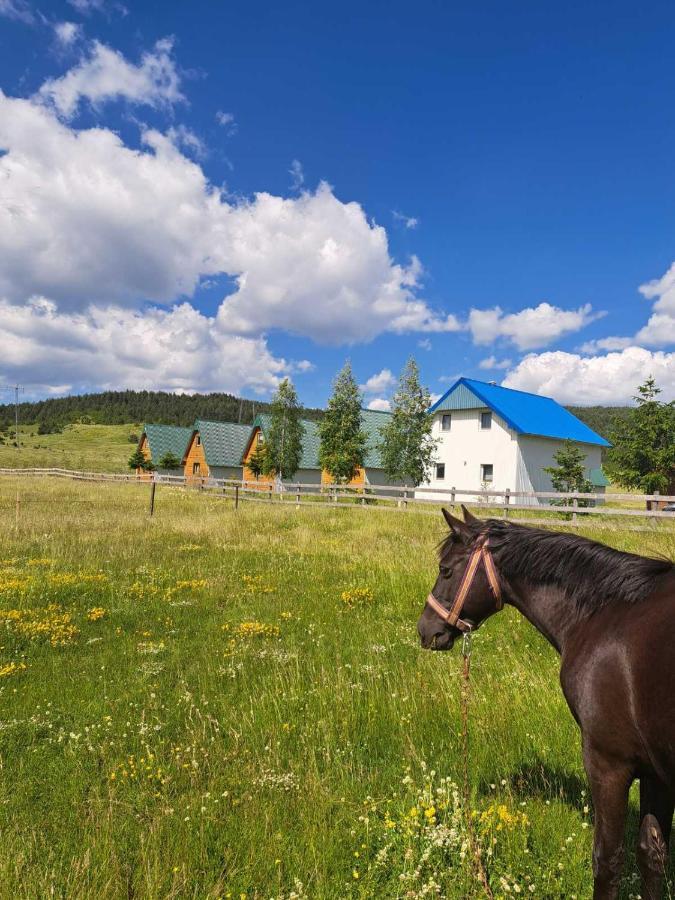 Vule Bungalovi Žabljak Exteriér fotografie