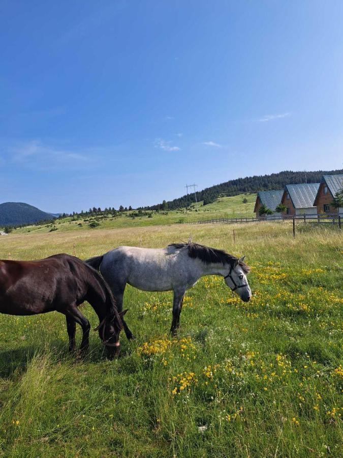 Vule Bungalovi Žabljak Exteriér fotografie